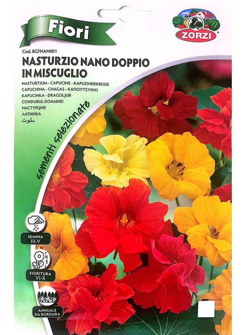 ZORZI Nasturtium Seeds