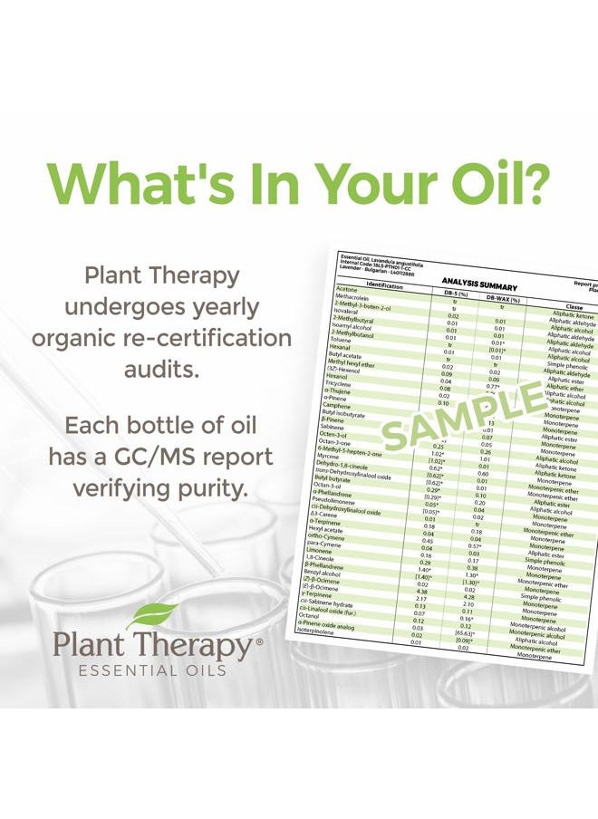 Plant Therapy Vetiver Organic Essential Oil 5 mL (1/6 oz) Pure, Undiluted, Therapeutic Grade  - Image 4