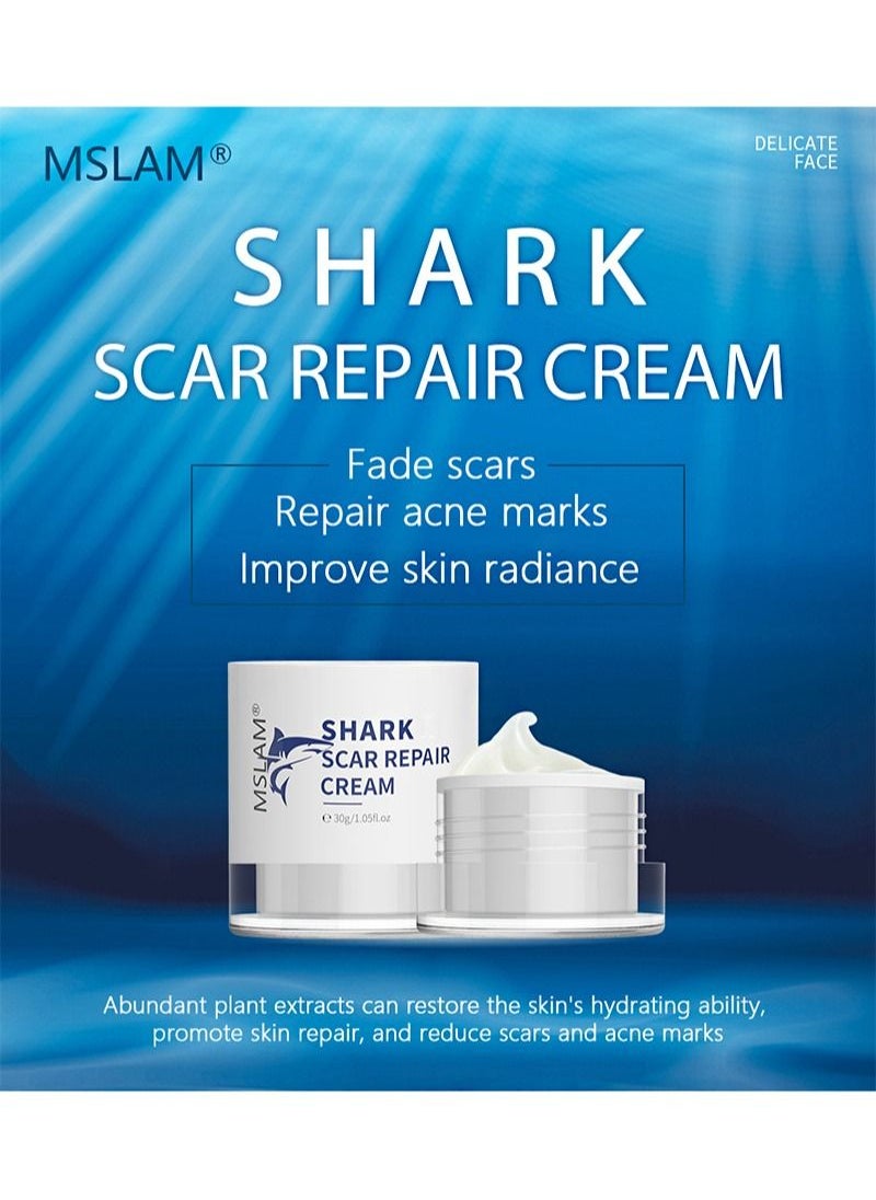 MSLAM - Scar Removal Cream， Facial And Body Scar Repair，Lightening Scars And Acne Marks， Using Natural Ingredients (30g) - Image 1