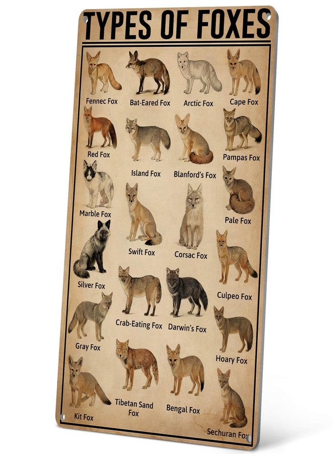 HYBLOM Vintage Types Of Foxes Metal Tin Sign - Educational and Decorative - Gift Wildlife Enthusiasts and Nature Lovers - Aluminum Poster for Home and Classroom 8x12 Inches - Image 1