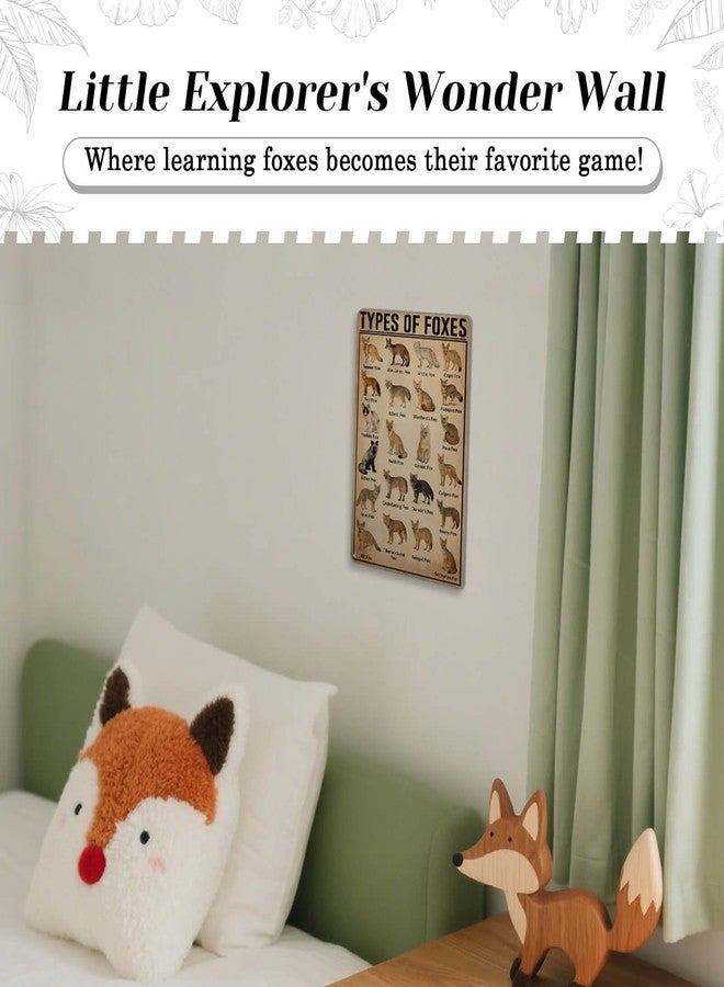 HYBLOM Vintage Types Of Foxes Metal Tin Sign - Educational and Decorative - Gift Wildlife Enthusiasts and Nature Lovers - Aluminum Poster for Home and Classroom 8x12 Inches - Image 3