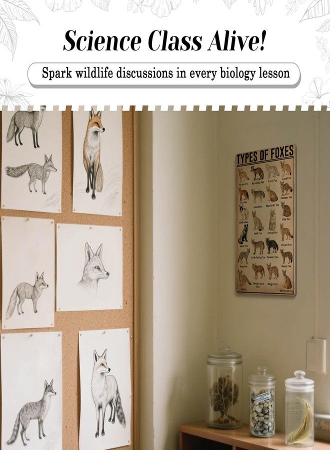HYBLOM Vintage Types Of Foxes Metal Tin Sign - Educational and Decorative - Gift Wildlife Enthusiasts and Nature Lovers - Aluminum Poster for Home and Classroom 8x12 Inches - Image 4