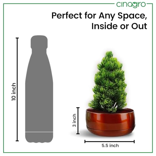 CINAGRO Metal Planter Pot for Indoor Plants, Round Decorative Flower Pot, Rust-Resistant, Modern Plant Holder for Home, Balcony, Office (13.97 x 7.62 cm, Pulse Nest - Mahogany) - Image 4