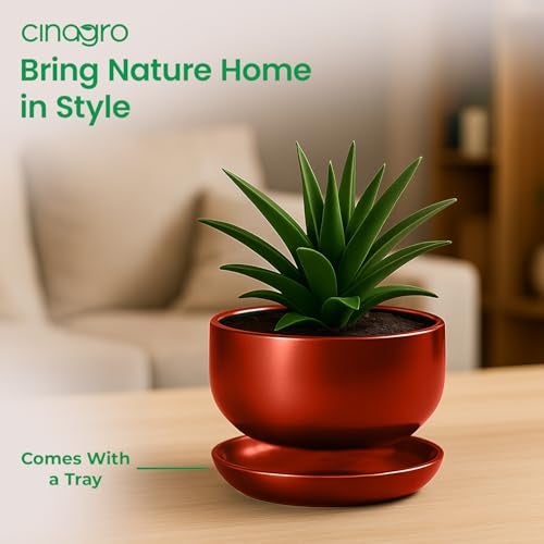 CINAGRO Metal Planter Pot for Indoor Plants, Round Decorative Flower Pot, Rust-Resistant, Modern Plant Holder for Home, Balcony, Office (13.97 x 7.62 cm, Pulse Nest - Mahogany) - Image 5
