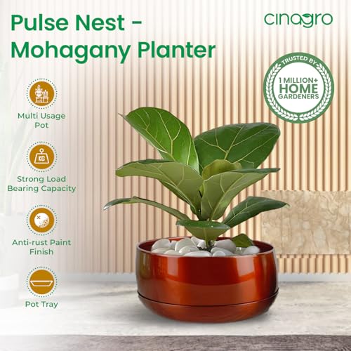 CINAGRO Metal Planter Pot for Indoor Plants, Round Decorative Flower Pot, Rust-Resistant, Modern Plant Holder for Home, Balcony, Office (13.97 x 7.62 cm, Pulse Nest - Mahogany) - Image 2