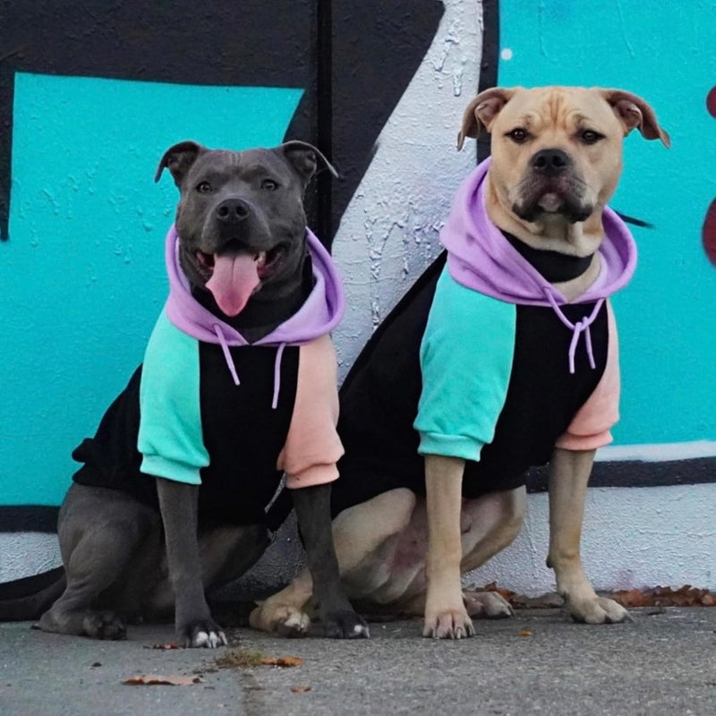 Spark Paws Dog Hoodie – Premium Dog Sweater for Small, Medium, and Large Dogs | Warm Outfits for French Bulldogs, Pitbull, Puppy, Winter Jacket Alternative - Cyber Punk - S - Image 4
