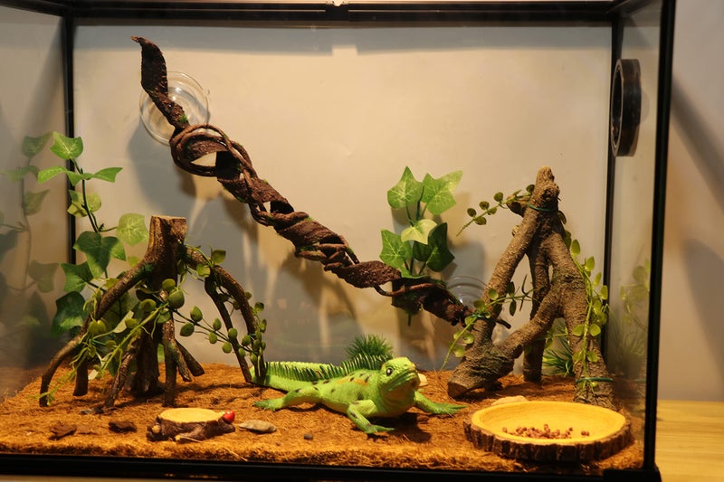 AQUA KT Reptile Corner Climbing Branch with Plant Snake Climb Tree for Bearded Dragon Lizard Hermit Crab Crested Gecko Leopard Chameleon Frog Terrarium Habitat - Image 4