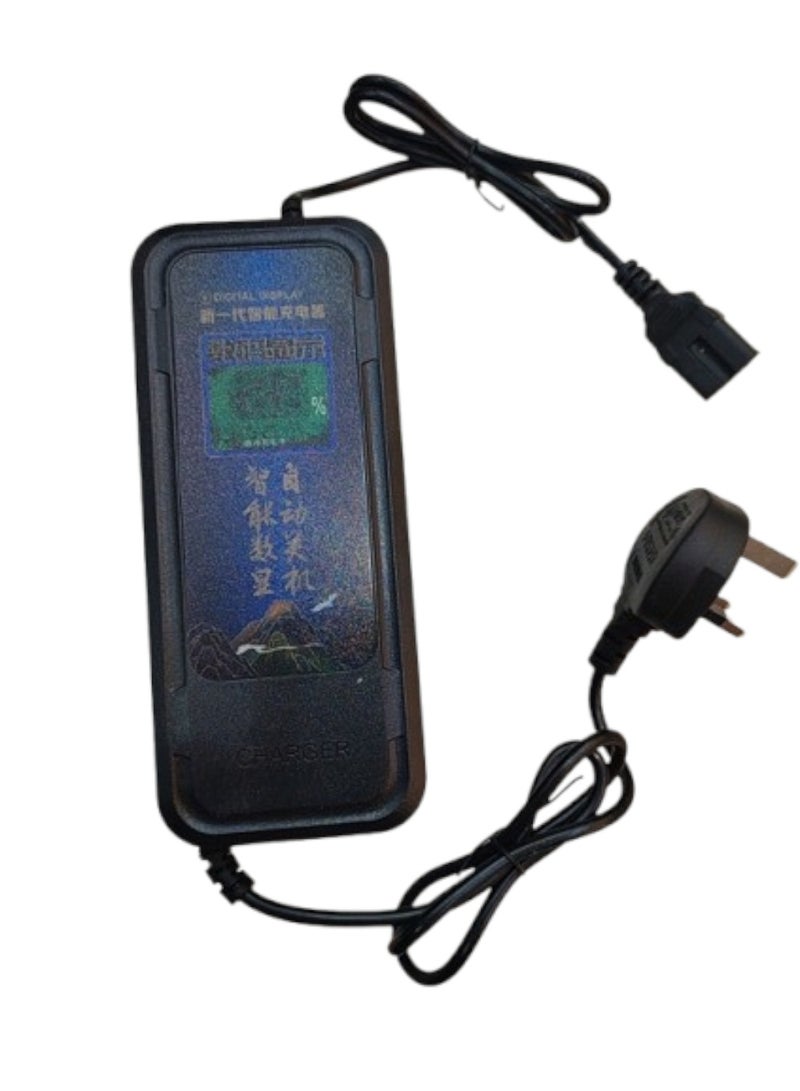Charger 60V~74V-20A For Electric Scooter & Electric Bike - Image 1