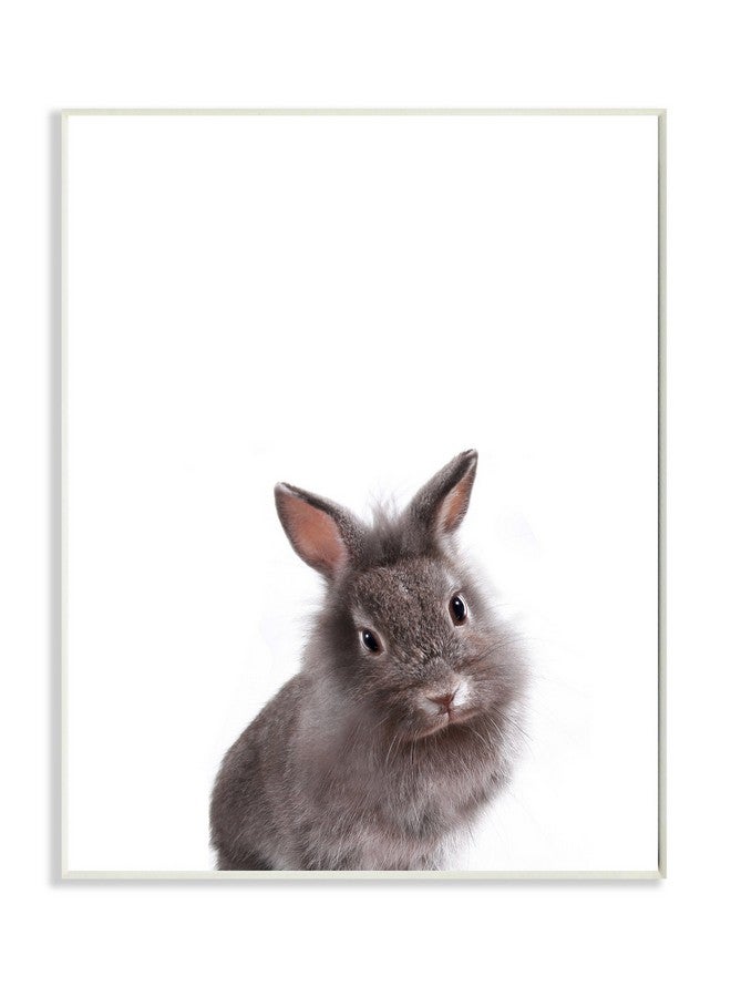 ستوبيل إنداستريز لوحة فنية جدارية من Stupell Home Décor Baby Bunny Studio، مقاس 10 × 0.5 × 15، صُنعت بفخر في الولايات المتحدة الأمريكية - Image 1