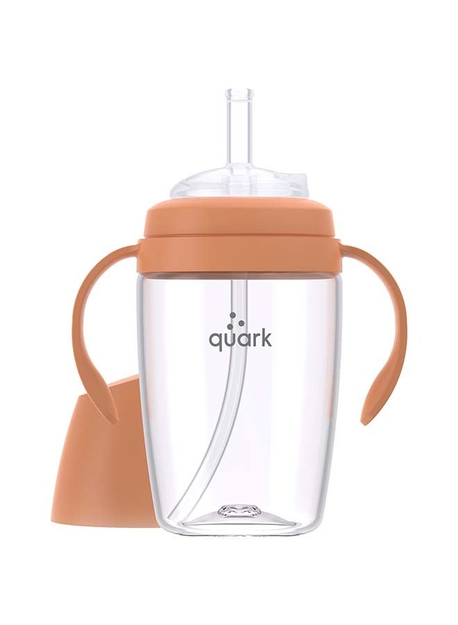 Quark BuubiBottle Sip - 1PC - Orange - Image 1