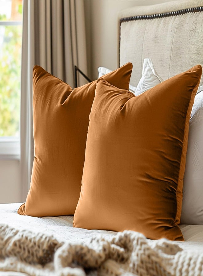 Lazzzy Brown Velvet Throw Pillow Cover 18 x 18 Decorative Pillowcase for Couch Bed Sofa Chair Soft Square Modern Gold Brown Cushion Case One Piece - Image 5