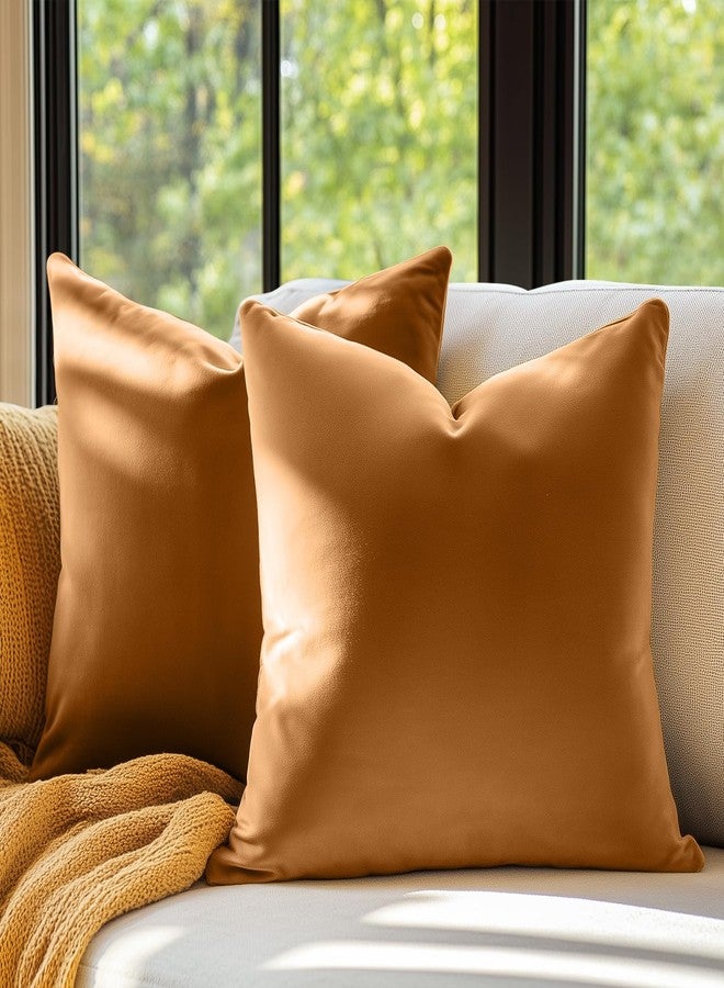 Lazzzy Brown Velvet Throw Pillow Cover 18 x 18 Decorative Pillowcase for Couch Bed Sofa Chair Soft Square Modern Gold Brown Cushion Case One Piece - Image 1