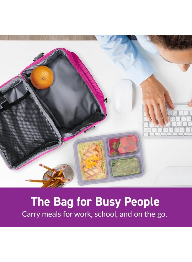 Bentgo حقيبة غداء بنتغو ديلوكس - حقيبة غداء متينة ومعزولة مع جيب خارجي بسحاب، جيب داخلي شبكي، أحزمة مبطنة وقابلة للتعديل، وسحابات ثنائية الاتجاه - تناسب معظم صناديق الغداء (بنفسجي) - Image 3