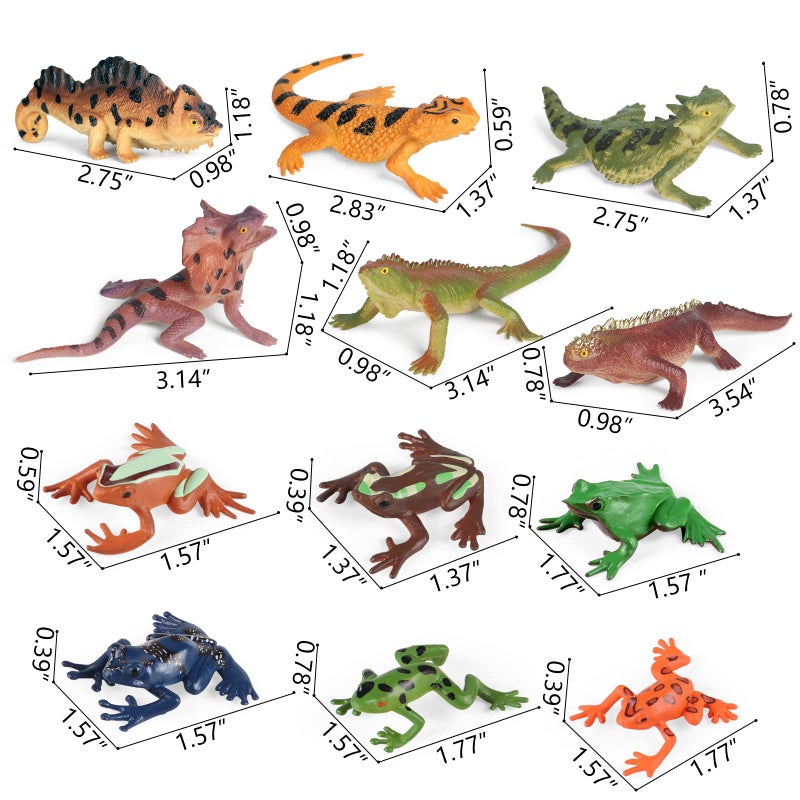 Sienon 12PCS Reptile Lizard Animals Figures, Mini Plastic Realistic Cold Blooded Amphibian Frog Jungle Chameleon Rainforest Character Toys for Kids Educational Halloween Prank Props Diorama Easter Eggs - Image 2