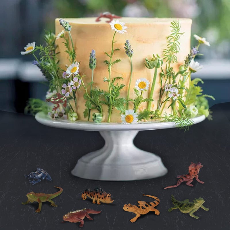 Sienon 12PCS Reptile Lizard Animals Figures, Mini Plastic Realistic Cold Blooded Amphibian Frog Jungle Chameleon Rainforest Character Toys for Kids Educational Halloween Prank Props Diorama Easter Eggs - Image 5