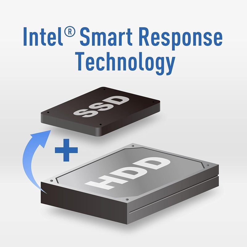 TeamGroup MS30 256GB مع ذاكرة SLC كاش 3D NAND TLC M.2 2280 SATA III 6Gb/s قرص صلب داخلي SSD (سرعة القراءة/الكتابة تصل إلى 500/400 MB/s) متوافق مع اللابتوب وكمبيوتر سطح المكتب TM8PS7256G0C101 - Image 4