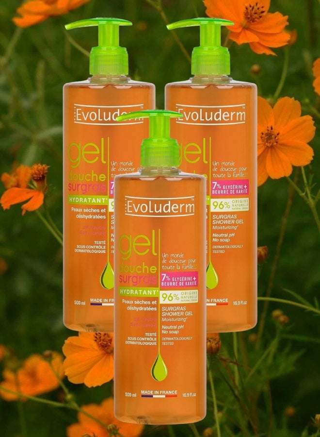 إيفو لوديرم 3 قطع جل الاستحمام المرطب بالسكر من إيفولوديرم 500مل - Image 1