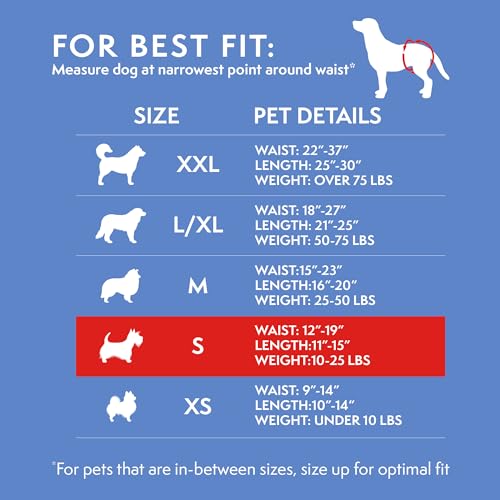 Simple Solution Female Dog Diapers – Disposable Diapers for Potty Training, Incontinence, and Heat Cycle Protection – Leak-Proof Fit for Small Dogs, 12–19 Inch Waist – 30 Count - Image 4
