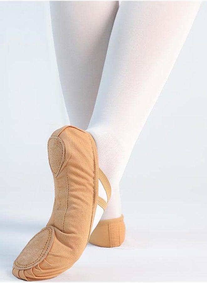 Loquat - Adult Children's Dancing Shoes Soft Bottom Yoga Ballet Lace-free Dance Shoes - Image 1