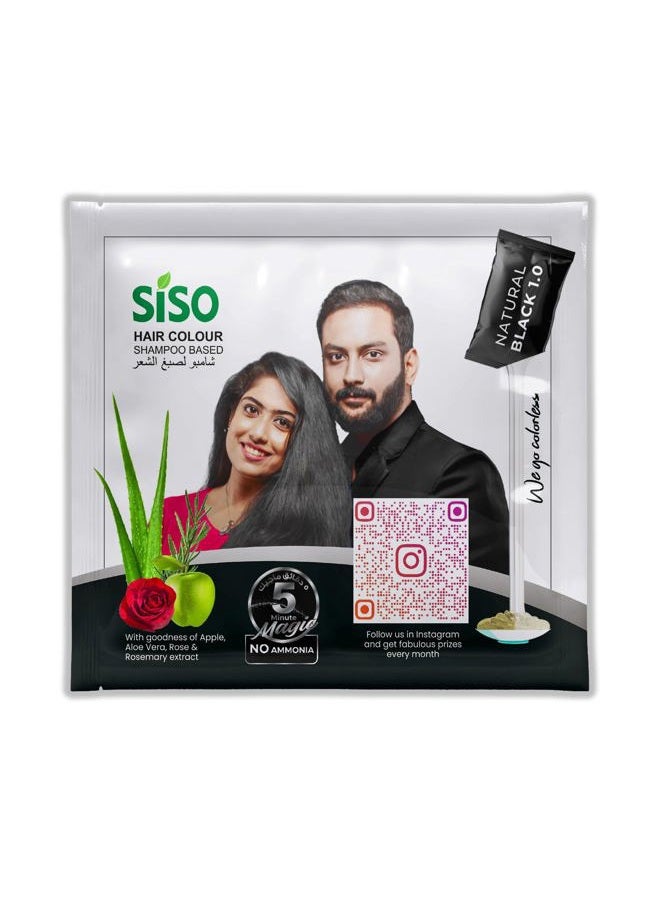 Siso Permanent Hair Color (20g) Pack of 10 - Natural Black, 100% Grey Coverage with Herbal Extracts, 0% Ammonia & Silicone - Image 2