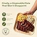 Koala love Palm Leaf Plates 10 Inch Bamboo Paper Disposable 50 Bulk Dinner Square Party Plates Event Tableware Eco Biodegradable Compostable Wooden Plate Best Alternative to Plastic Plate By KoalaLove - Image 4