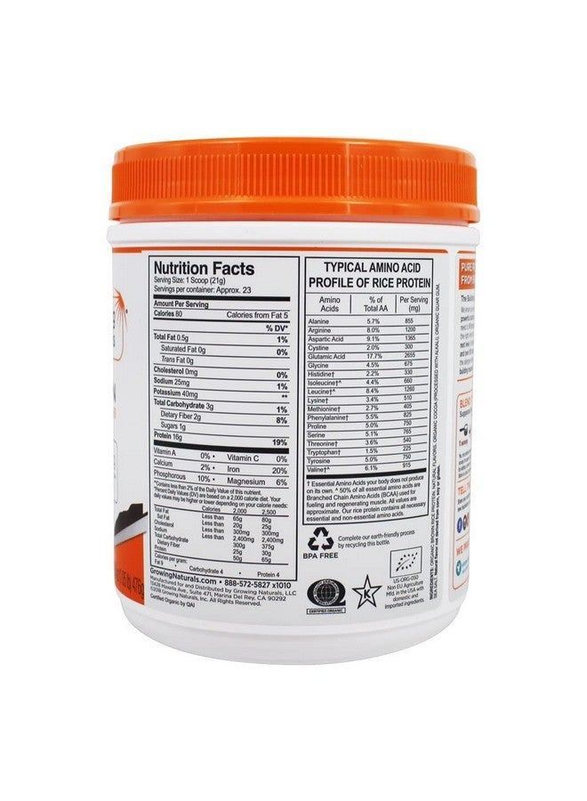 Growing Naturals Organic Premium Rice Protein Powder, Chocolate Power, Non-Gmo, Vegan, 16.8 Ounce  - Image 2