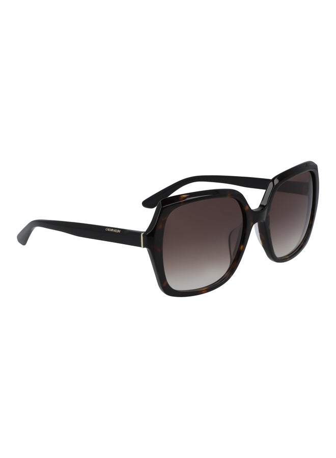 CALVIN KLEIN FULL RIM ACETATE SQUARE CALVIN KLEIN SUN CK20541S N 5719 (235) DARK TORTOISE - Image 1