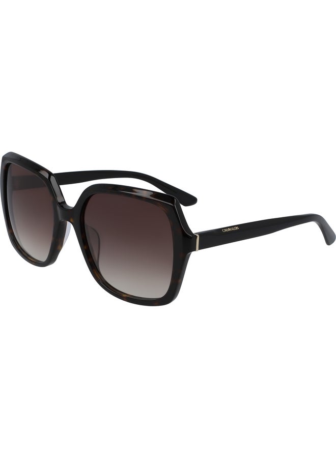 CALVIN KLEIN FULL RIM ACETATE SQUARE CALVIN KLEIN SUN CK20541S N 5719 (235) DARK TORTOISE - Image 2