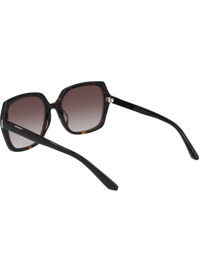 CALVIN KLEIN FULL RIM ACETATE SQUARE CALVIN KLEIN SUN CK20541S N 5719 (235) DARK TORTOISE - Image 3
