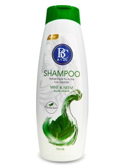 Mint and Neem shampoo