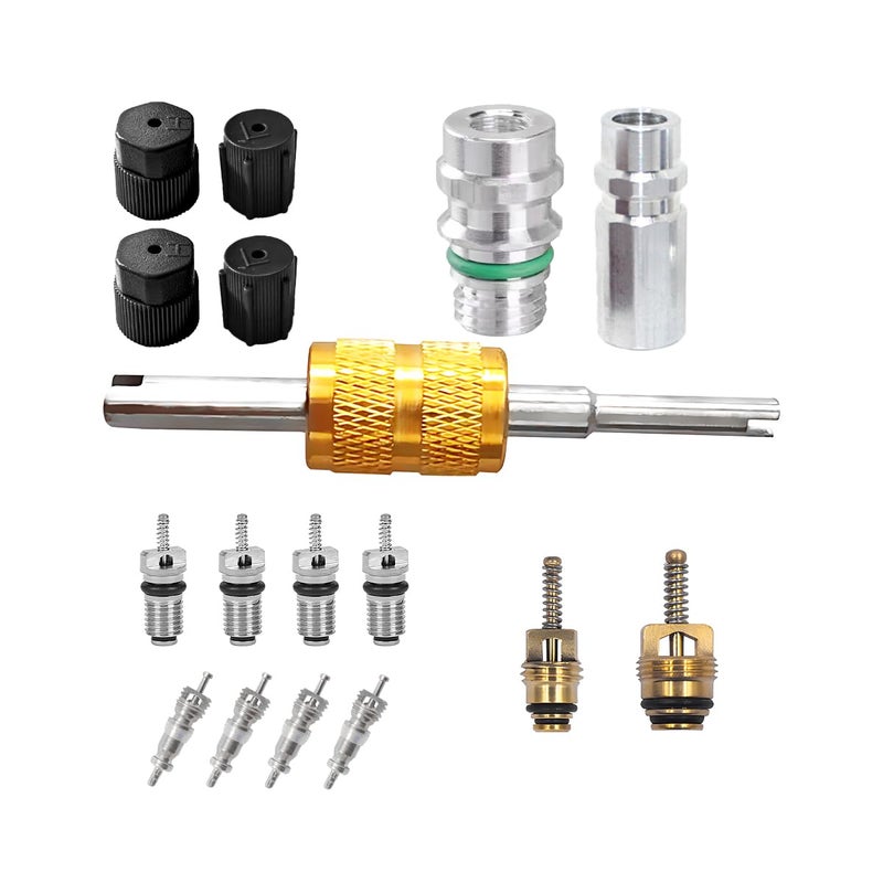 Bittwee 17PCS Car Air Conditioning Valve Core Kit R12 R134a Vehicle HVAC Valve Stem Cores with Removal Tool Auto AC Refrigeration Cap Valve Core Assortment Set Universal for Most Cars - Image 3