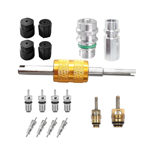 Bittwee 17PCS Car Air Conditioning Valve Core Kit R12 R134a Vehicle HVAC Valve Stem Cores with Removal Tool Auto AC Refrigeration Cap Valve Core Assortment Set Universal for Most Cars - Image 1