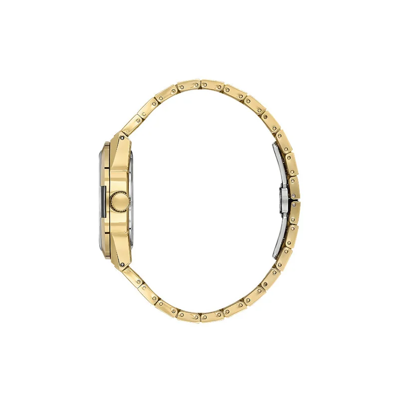DANIEL KLEIN Men's Stainless Steel Gold Alloy Case Analog Black Round Sunray Dial Japanese Quartz Premium 50 Meters Water Resistant
