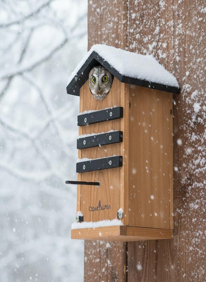 CEDAR ALPHA Cedar Squirrel House, Screech Barn Owl Box, Duck Nesting Shelter, Cedar Bird House for Outside, Rustic Big Birdhouse,Nesting Box, Squirrel Shelter Nester Large Heavy Carbonized Assemble Needed - Image 5