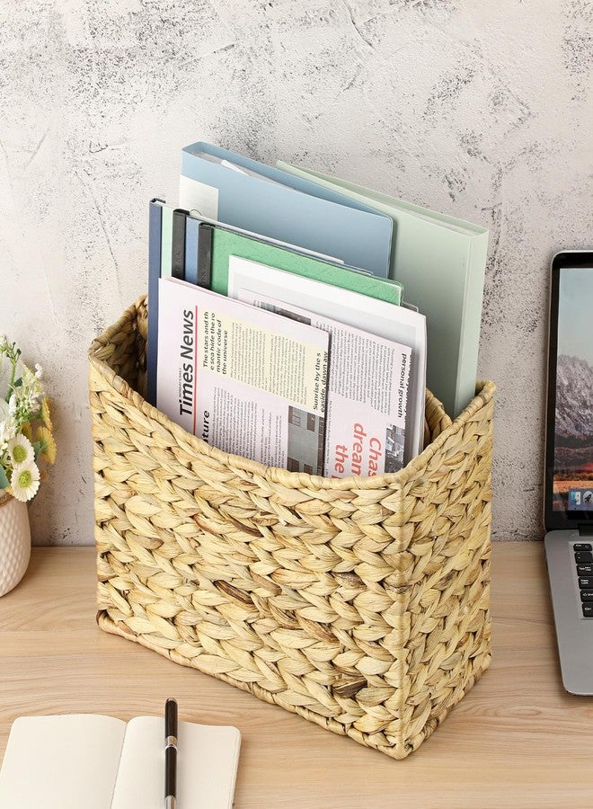 بي تي سكاي حامل مجلات منسوج من BTSKY، سلة مجلات من قسمين مصنوعة من زهرة النيل، سلة تخزين طبيعية للكتب والملفات، رف مجلات للحمام بمقبض مدمج للمنزل والمكتب والطاولة - Image 2