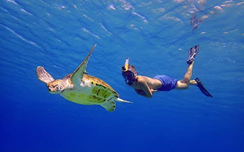 OCEANREEF OCEAN REEF - Aria QR + Quick Release Snorkeling Mask - Full Face Snorkeling Mask - 180 Degree Underwater Vision - 5 Colors and 3 Sizes - Black Color - Size S/M - Image 5