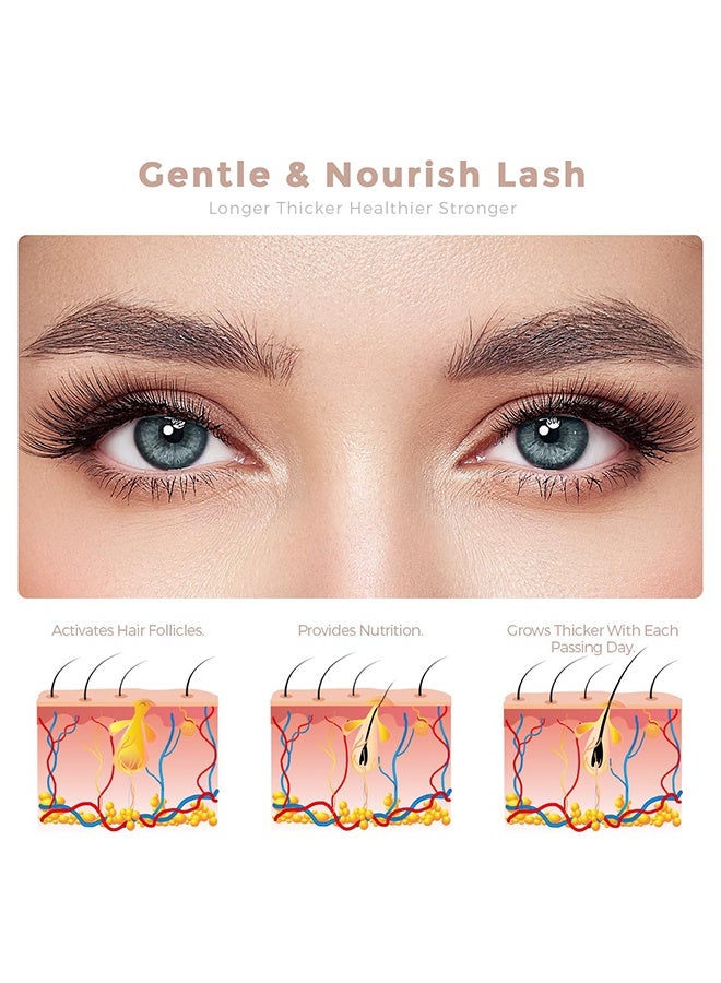 ibcccndc Eyelash Growth Serum, Promote Eyelash growth,toward longer,Plant Extracts Danser and Healthier Eyelashes 8ML  - Image 3