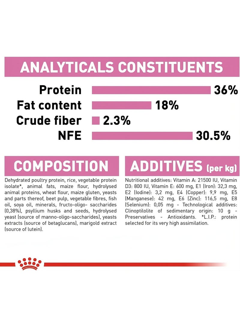 رويال كانين طعام القطط الجاف رويال كانين – المرحلة الثانية، حتى عمر 12 شهر، 2 كجم - Image 3