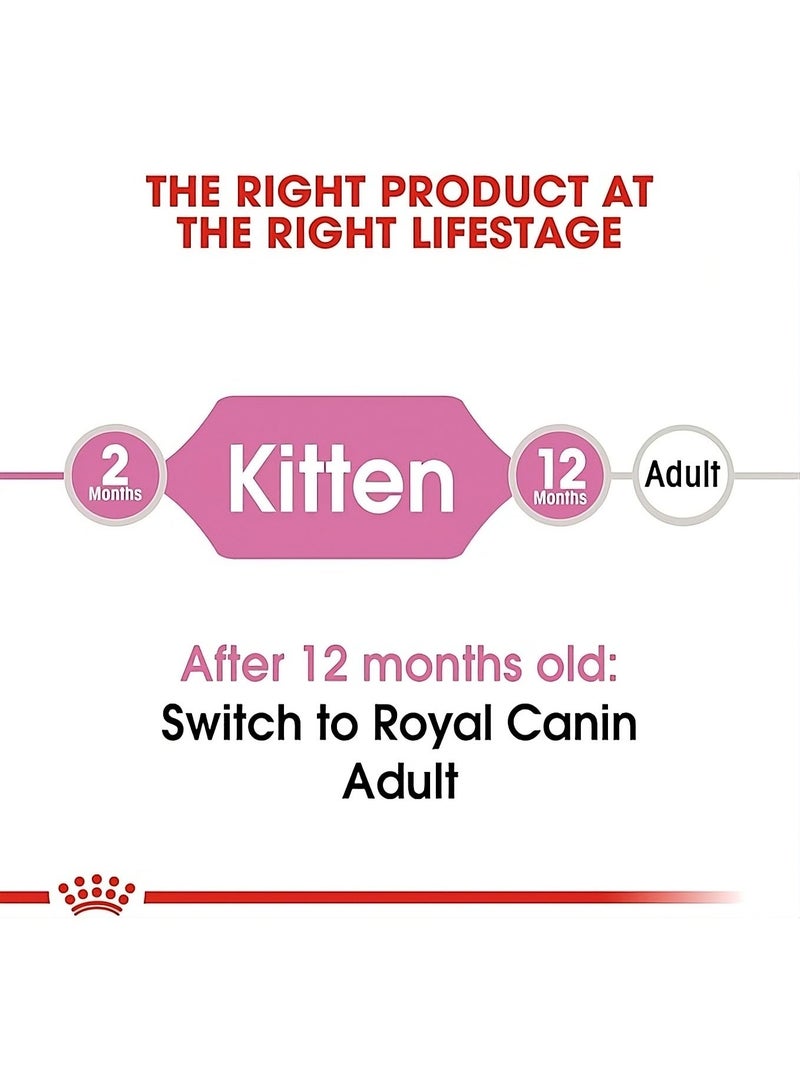 رويال كانين طعام القطط الجاف رويال كانين – المرحلة الثانية، حتى عمر 12 شهر، 2 كجم - Image 2