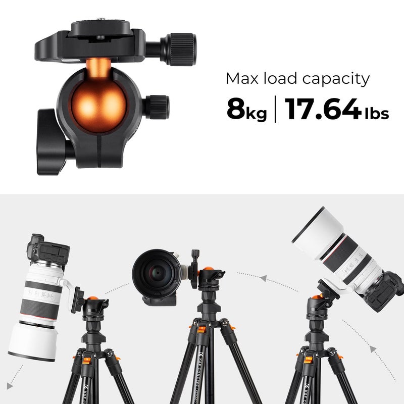 K&F Concept 64 inch/163cm Camera Tripod,Lightweight Travel Outdoor DSLR Tripods with 360 Degree Ball Head Load Capacity 8kg/17.6lbs,Cellphone Clip for Smartphone Live Streaming Vlog K234A0+BH-28L - Image 3