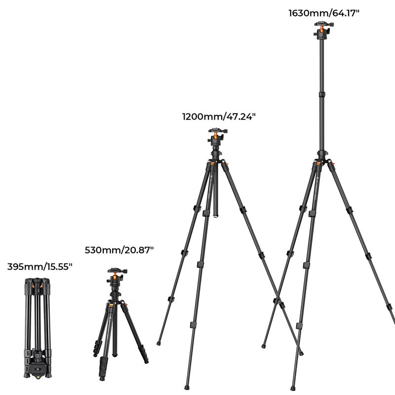 K&F Concept 64 inch/163cm Camera Tripod,Lightweight Travel Outdoor DSLR Tripods with 360 Degree Ball Head Load Capacity 8kg/17.6lbs,Cellphone Clip for Smartphone Live Streaming Vlog K234A0+BH-28L - Image 5