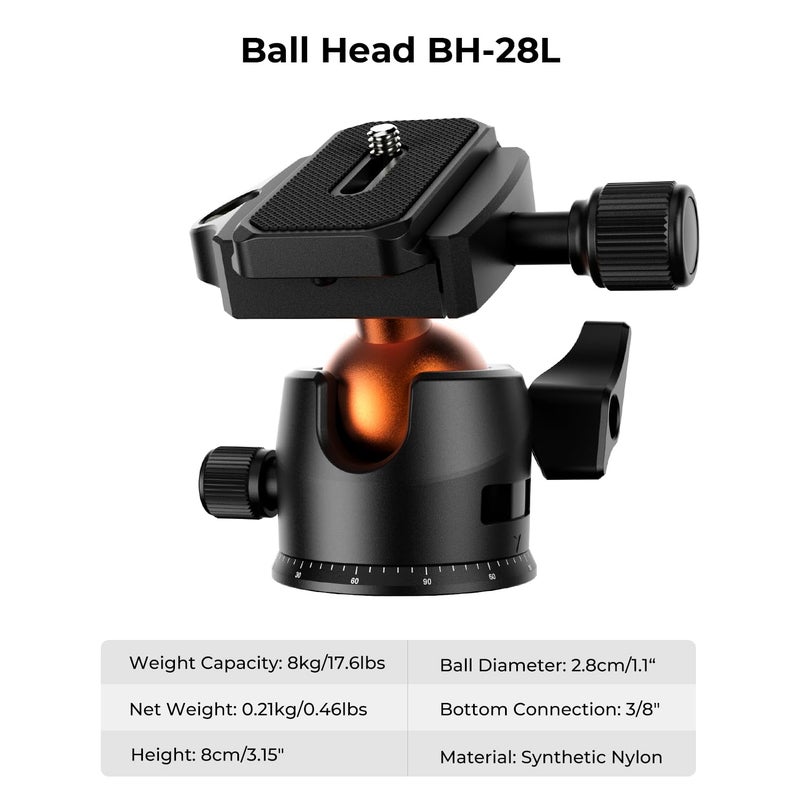 K&F Concept 64 inch/163cm Camera Tripod,Lightweight Travel Outdoor DSLR Tripods with 360 Degree Ball Head Load Capacity 8kg/17.6lbs,Cellphone Clip for Smartphone Live Streaming Vlog K234A0+BH-28L - Image 4