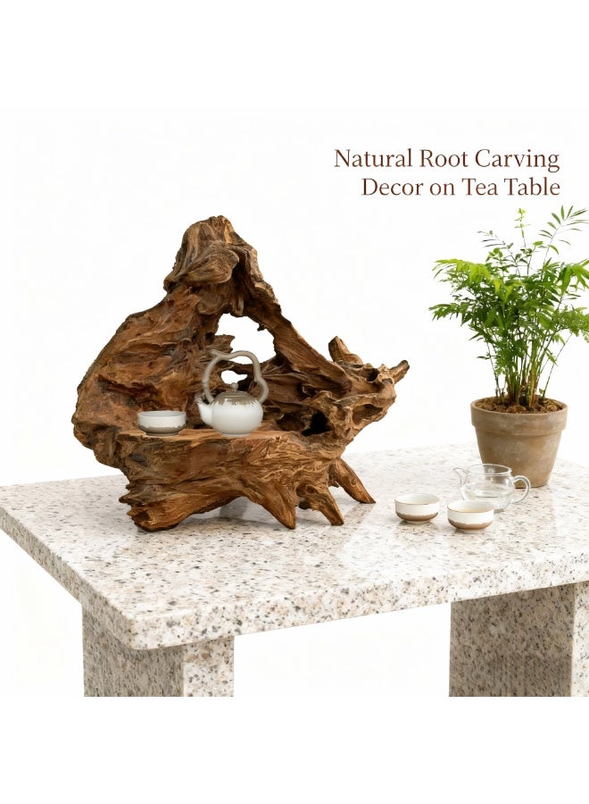 Natural Driftwood Root Sculpture 60 cm Handmade Wood Carving Décor for Tea Table, Aquarium Decoration, Indoor & Outdoor Display, Home & Office Decoration UAE - Image 1