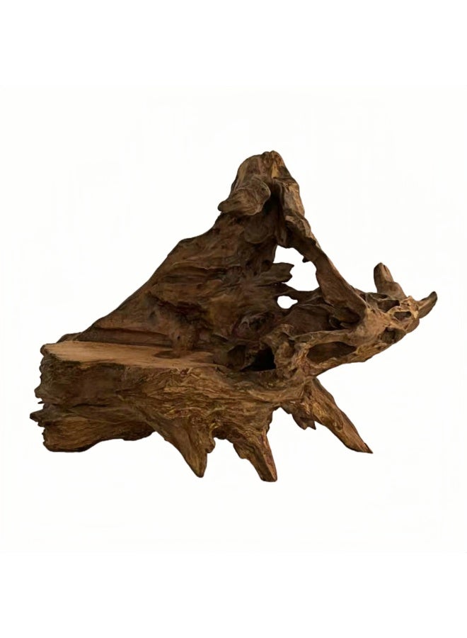 Natural Driftwood Root Sculpture 60 cm Handmade Wood Carving Décor for Tea Table, Aquarium Decoration, Indoor & Outdoor Display, Home & Office Decoration UAE - Image 2