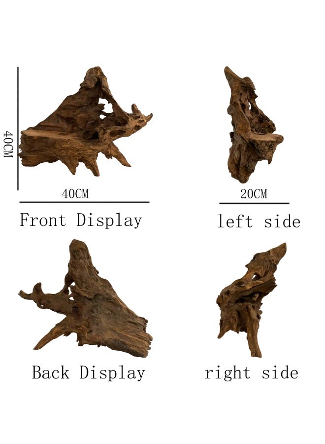 Natural Driftwood Root Sculpture 60 cm Handmade Wood Carving Décor for Tea Table, Aquarium Decoration, Indoor & Outdoor Display, Home & Office Decoration UAE - Image 3