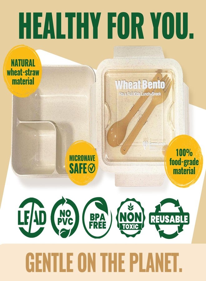 GreenLunch Bento علبة غداء بينتو قابلة للتحلل الحيوي من ويت وير، حاوية تخزين طعام ووجبات خفيفة للأطفال، طقم علبة غداء بينتو من قش القمح للأطفال - طبيعي - Image 5
