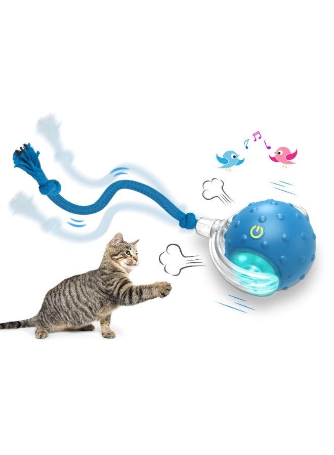 Interactive Cat Toys Ball for Indoor Cats Fast Rolling on Carpet, Chirping & Motion Activate Cat Toys (Blue) - Image 1