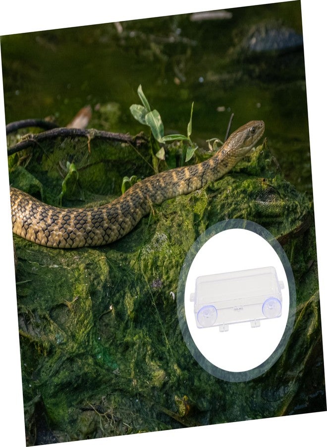 Sosoport 1Pc Suction Cup Reptile Feeder Dish Acrylic Food and Water Basin with Double Suction Easy to Install Reptile Feeding Tray for Gecko Lizard and Other Pets - Image 5