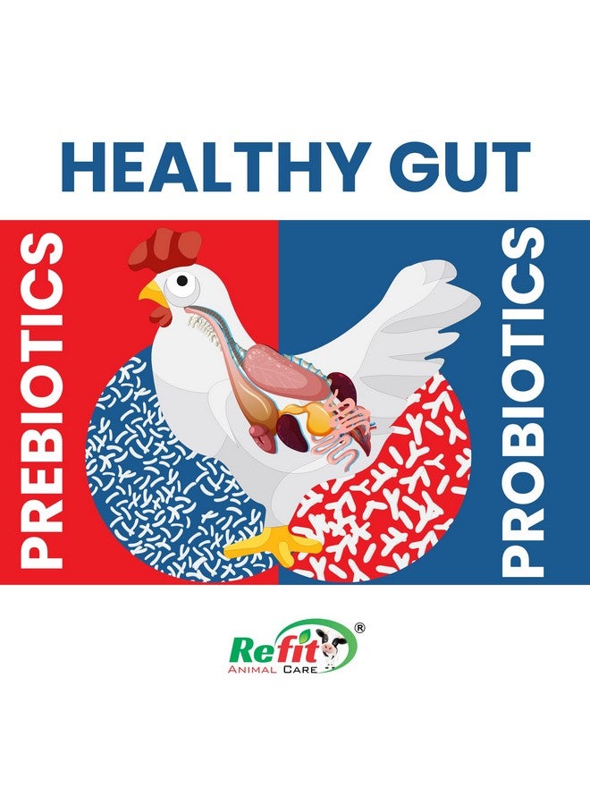 REFIT ANIMAL CARE Prebiotics and Probiotics Powder for Poultry, Chicken, Hen, Chicks, Broilers and Birds, 500 gram, Florazone - Image 5