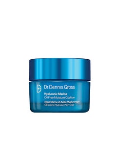Dr. Dennis Gross Skincare Hyaluronic Marine Oil-Free Moisture Cushion 